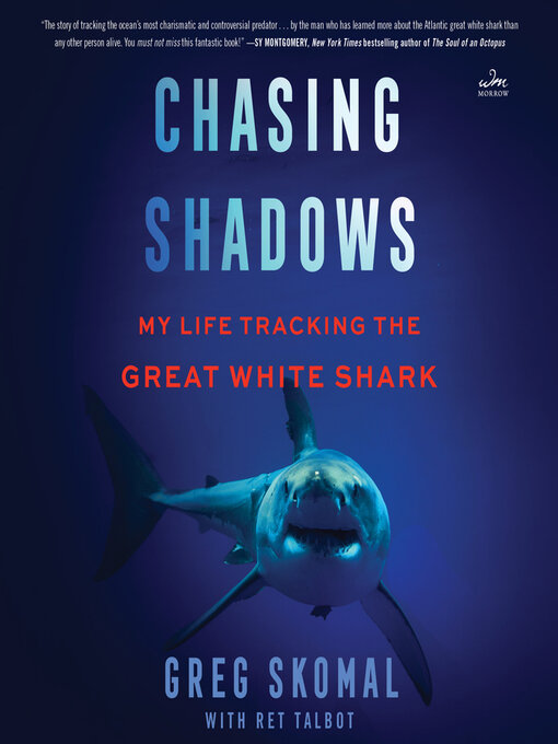 Cover image for Chasing Shadows